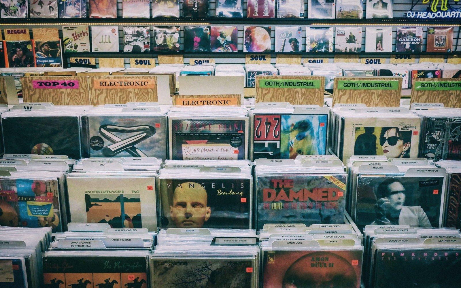Vinyl records organized by genre in bins with labeled dividers at a record store
