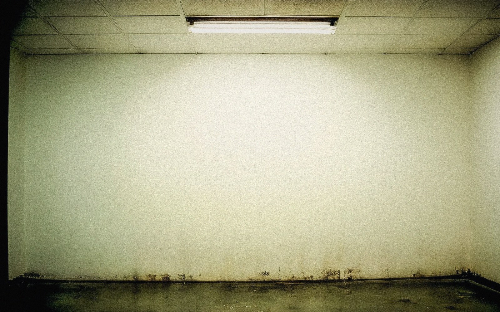 Empty room with a fluorescent ceiling light and mold stains along the base of the wall